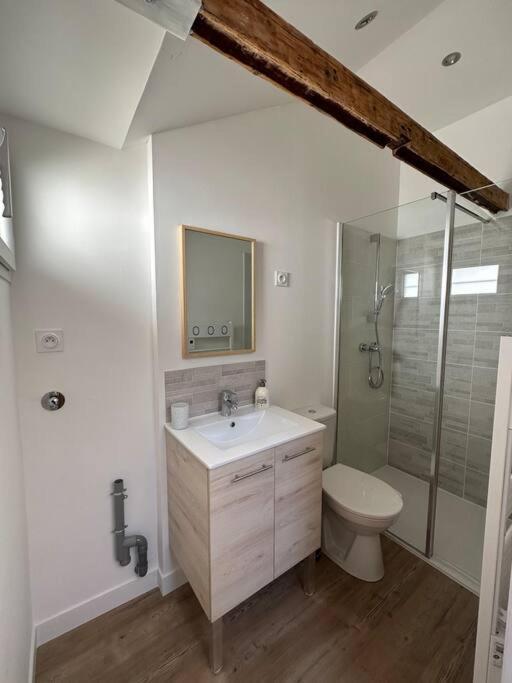 Petite Maison Avec Clim Blois Ngoại thất bức ảnh